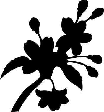 Beyaz arkaplanda izole edilmiş siyah çiçek silueti, çiçekli botanik illüstrasyon 