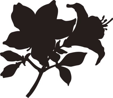 Siyah Çiçek Silueti Beyaz arka planda izole edildi 