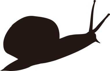 siyah basit siluet salyangoz çizimi