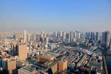 Tokyo şehrinin gökyüzü manzarası, Japonya