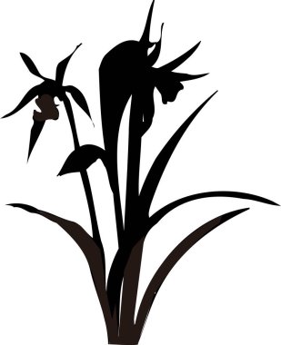 Siyah Çiçek Silueti Beyaz arka planda izole edildi 