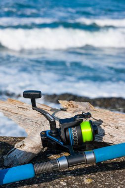 Sahilde olta kamışı