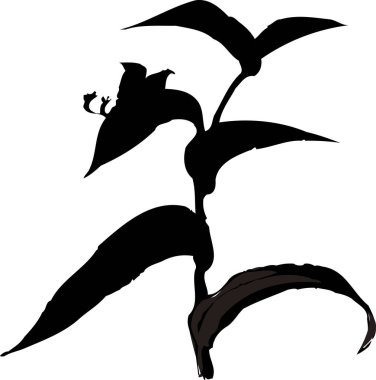 Beyaz arkaplanda izole edilmiş siyah çiçek silueti, çiçekli botanik illüstrasyon 