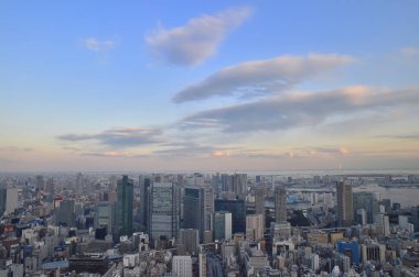 Gündüz vakti modern Japon şehrinin havadan görünüşü