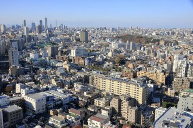 Tokyo şehir manzarasının havadan görünüşü, Japonya