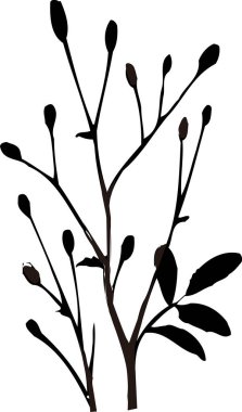 Siyah Çiçek Silueti Beyaz arka planda izole edildi 