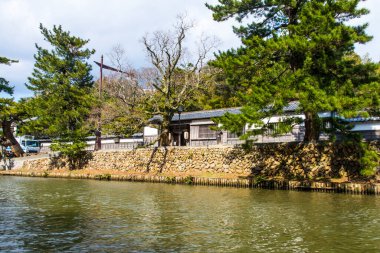 Sabahları şehir parkının güzel manzarası, Japonya.