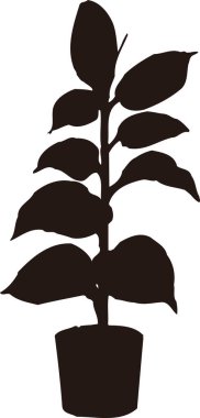 Siyah Çiçek Silueti Beyaz arka planda izole edildi 