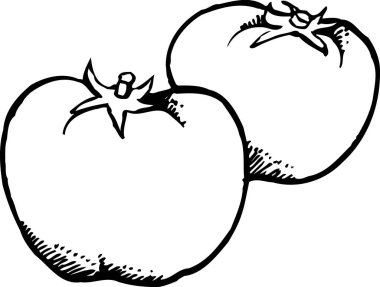 Domates ikonu ana hatları siyah siluet çizimi