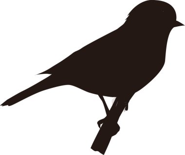 kuş siluetinin siyah beyaz çizimi