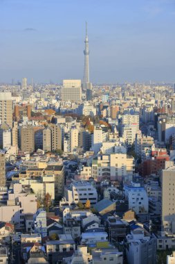 Tokyo Skytree, Sumida ve Tokyo 'da bir yayın ve gözlem kulesi, Japonya