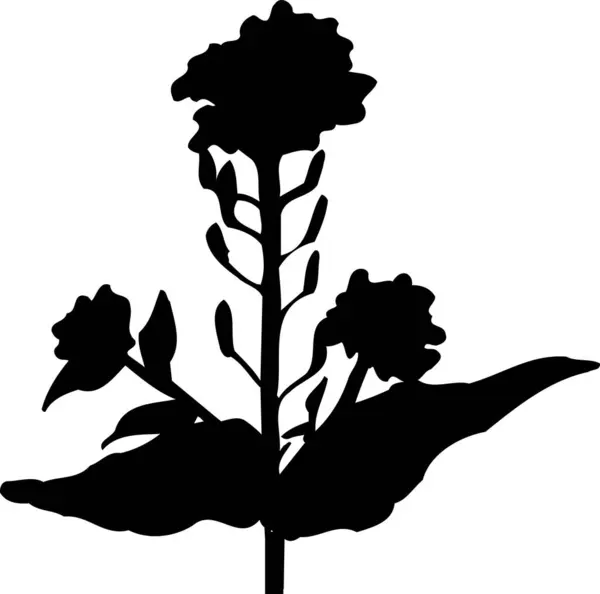 black flower silhouette, floral botanical illustration