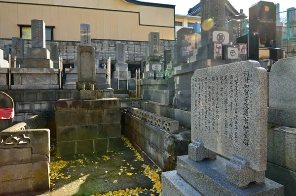 Mezarlıktaki Geleneksel Japon Mezar Taşlarının Yakın Plan Çekimi — Stok fotoğraf