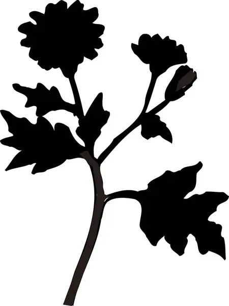 Черный Цветочный Силуэт Белом Фоне — стоковое фото