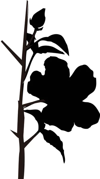 black flower plant silhouette isolated on white background, floral botanical illustration