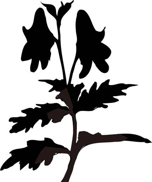 Černá Květinová Silueta Izolované Bílém Pozadí — Stock fotografie