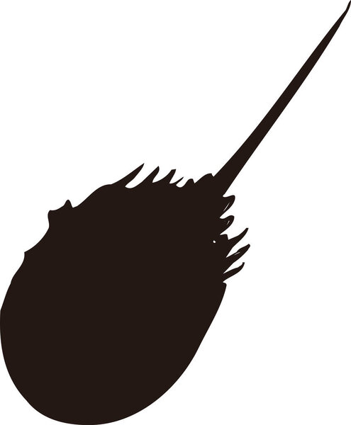 falling meteor, simple black and white illustration isolated on white background