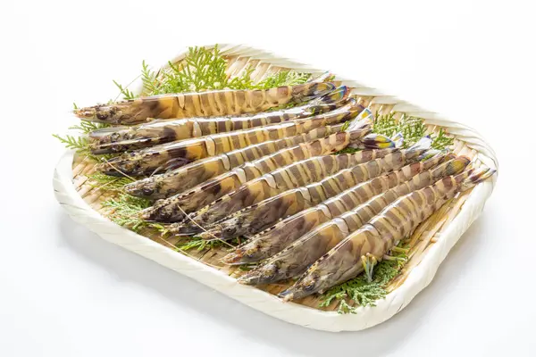 Crevettes Tigrées Fraîches Sur Plat Blanc — Photo