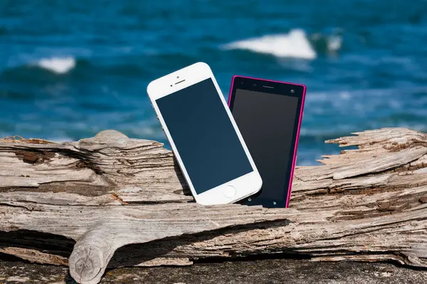 Smartphones Blank Screens Tree Trunk Seashore Copy Space — Stock Photo, Image