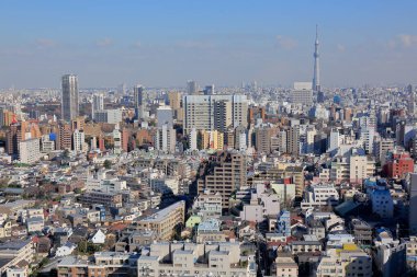 Tokyo Skytree, Sumida ve Tokyo 'da bir yayın ve gözlem kulesi, Japonya