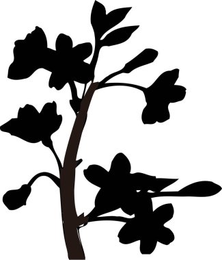 Beyaz arkaplanda izole edilmiş siyah çiçek silueti, çiçekli botanik illüstrasyon 