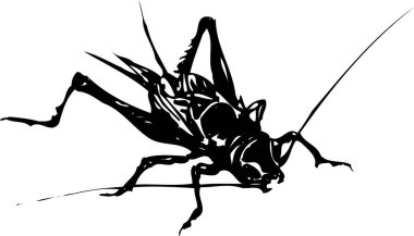 , Beyaz arkaplanda izole edilmiş basit siyah beyaz illüstrasyon