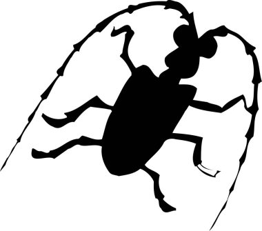 siyah basit siluet böcek çizimi 