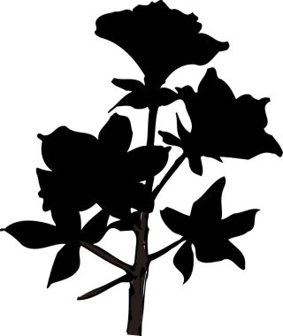 siyah çiçek silueti, çiçek botanik çizimi 