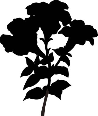 Beyaz arkaplanda izole edilmiş siyah çiçek silueti, çiçekli botanik illüstrasyon 