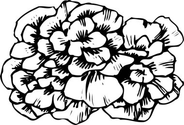 çiçek simgesi ana hatları siyah siluet çizimi
