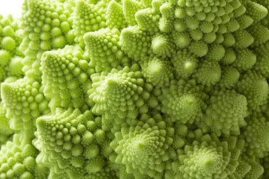 Romanesco brokoli (ayrıca brokolo romanesco, Romanesk karnabahar veya kısaca Romanesco olarak da bilinir) taze sebze 