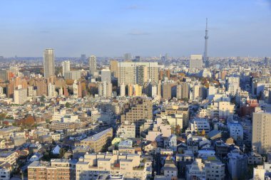 Tokyo Skytree, Sumida ve Tokyo 'da bir yayın ve gözlem kulesi, Japonya