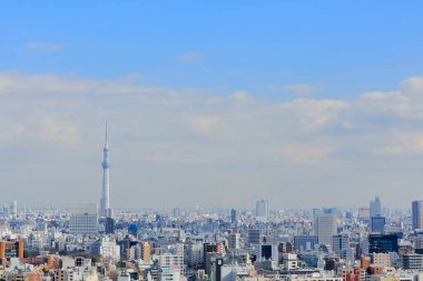 Tokyo Skytree, Sumida ve Tokyo 'da bir yayın ve gözlem kulesi, Japonya
