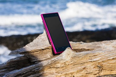 Telefon deniz kıyısındaki eski kuru ağaç gövdesinde.