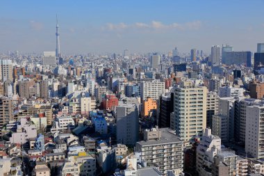 Tokyo Skytree, Sumida ve Tokyo 'da bir yayın ve gözlem kulesi, Japonya