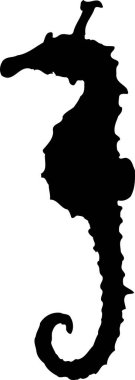 Sivri dikenli deniz atının siyah silueti sola bakıyor.