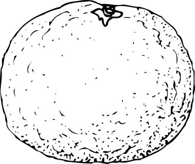 turuncu meyve ikonu ana hatları siyah siluet çizimi