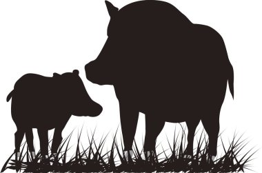 Beyaz arka planda izole edilmiş iki ineğin silüeti.