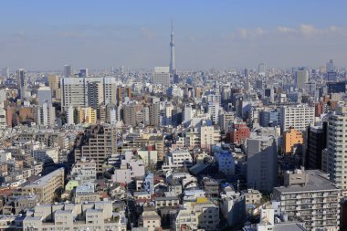 Tokyo Skytree, Sumida ve Tokyo 'da bir yayın ve gözlem kulesi, Japonya