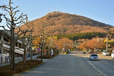 Ağaç Çizgili Sokak Açık Bir Gün 'de Yayın Kuleleri ile Bir Tepeye Çıkıyor