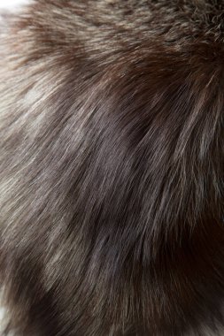 siyah kürk malzeme arkaplanı