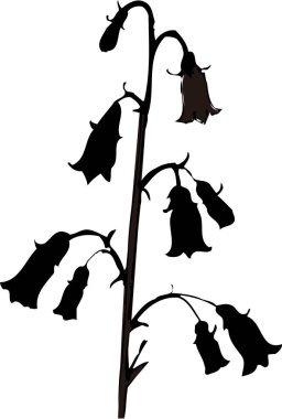 Beyaz arkaplanda izole edilmiş siyah çiçek silueti, çiçekli botanik illüstrasyon 