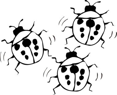 Dalgalı çizgileri olan üç çizgi film uğur böceği