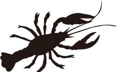 Istakoz illüstrasyonu, beyaz arka planda izole edilmiş basit siyah beyaz çizim