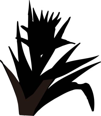 Siyah Çiçek Silueti Beyaz arka planda izole edildi 