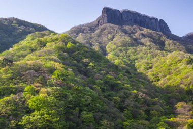Dağları, yeşil ağaçları ve mavi gökyüzü olan güzel bir manzara.