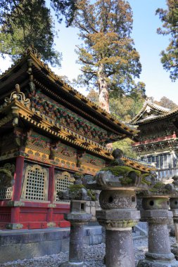 Japonya 'da ormandaki antik türbe kompleksi