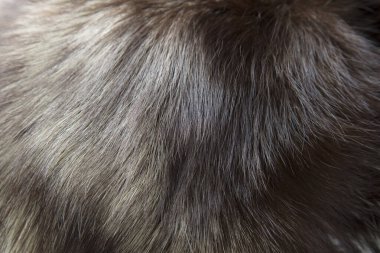 siyah kürk malzeme arkaplanı