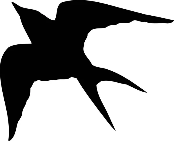 Kuşun Siyah Beyaz Çizimi — Stok fotoğraf