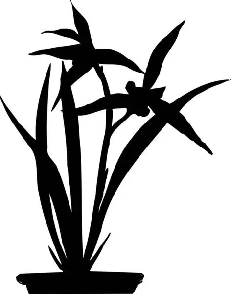 houseplant silhouette in pot,  floral botanical illustration